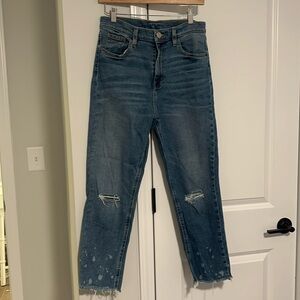 BDG Distressed Girlfriend Ankle Jeans Size 29